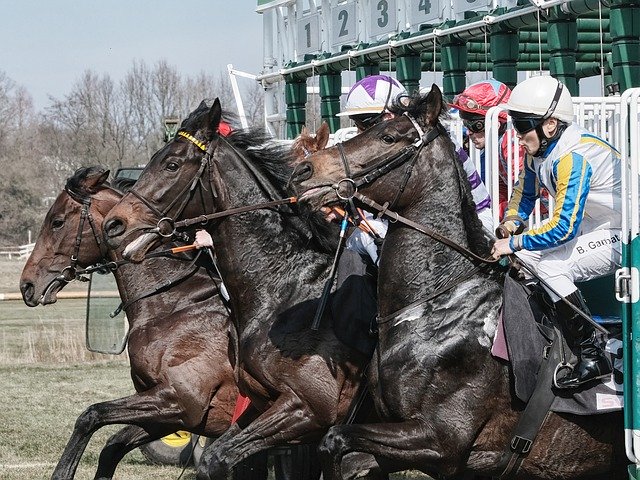 início da corrida de cavalos